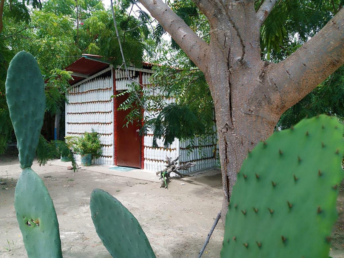Alojamiento Casa De Campo Los Cactus Villavieja Extérieur photo